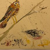 My project in Artistic Watercolor Techniques for Illustrating Birds course. Traditional illustration, Watercolor Painting, Realistic Drawing, and Naturalistic Illustration project by Todd Harper - 08.08.2021