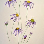 Aquarelle - Echinacea. Traditional illustration project by Brigitte van Krimpen - 08.08.2021