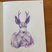 My project in Surrealist Illustration Inspired by Nature course. Un proyecto de Ilustración tradicional, Dibujo a lápiz, Dibujo, Dibujo artístico e Ilustración naturalista				 de Aspasia - 08.08.2021