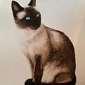 My project in Expressive Animal Portraits in Watercolor course. Un progetto di Illustrazione tradizionale, Pittura ad acquerello, Disegno realistico e Illustrazione naturalistica di Sandra De - 09.08.2021