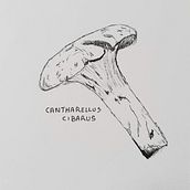 Journée champignons. Traditional illustration project by Jean-Philippe Gilliot - 08.09.2021