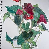 My project in Botanical Sketchbooking: A Meditative Approach course. Un proyecto de Ilustración tradicional, Bocetado, Dibujo, Pintura a la acuarela, Ilustración botánica y Sketchbook de Selma Insley - 09.08.2021