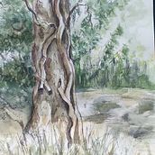 dessins en exterieur . Sketching project by laurence denard - 08.09.2021