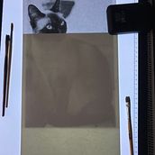 My project in Expressive Animal Portraits in Watercolor course. Traditional illustration, Watercolor Painting, Realistic Drawing, and Naturalistic Illustration project by Fergal McGreevy - 08.09.2021