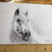 My project in Expressive Animal Portraits in Watercolor course. Traditional illustration, Watercolor Painting, Realistic Drawing, and Naturalistic Illustration project by Lisa Sheridan - 08.10.2021