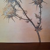 Il mio progetto del corso   Sketchbook botanico: un approccio meditativo Ein Projekt aus dem Bereich Traditionelle Illustration, Skizzenentwurf, Aquarellmalerei, Sketchbook, Zeichnung und Botanische Illustration von Paola Matteucci - 10.08.2021