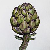 Mi Proyecto del curso: Ilustración botánica con acuarela. Traditional illustration, Fine Arts, Painting, Drawing, Watercolor Painting, and Botanical Illustration project by mathius wilder - 08.10.2021