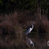 Mi Proyecto del curso: Fotografía de paisaje y naturaleza Ein Projekt aus dem Bereich Fotografie, Außenfotografie, Fotografie für Instagram, Dokumentarfotografie und Fotografische Komposition von quiqueben289 - 10.08.2021