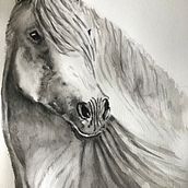 Expressive animal portrait. Traditional illustration project by Fergal McGreevy - 08.10.2021