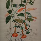 Cores da saudade. Collage, DIY, Floral, Plant Design, Arts, Crafts, and Fine Arts project by Joy Shimura - 08.12.2021