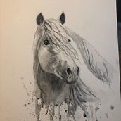 My project in Expressive Animal Portraits in Watercolor course . % Barbara Smith tarafından hazırlanan Geleneksel illüstras, on, Sulubo, a Resim, Gerçekçi Çizim, Doğalcı İllüstras, Ve on projesi - 08.07.2021