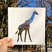@TourGiraffe. Creative Consulting, and Creativit project by Cleyton Cabral - 08.11.2020