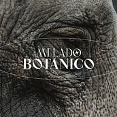 Mi Lado Botánico Ein Projekt aus dem Bereich Traditionelle Illustration, Kunstleitung, Br, ing und Identität und Grafikdesign von Julián Andrés Carvajal Zapata - 10.08.2021