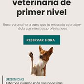 Mi Proyecto del curso: Diseño de interfaces para sitios web y aplicaciones. UX / UI, Graphic Design, Interactive Design, Web Design, Mobile Design, Digital Design, and App Design project by naim16899 - 08.13.2021