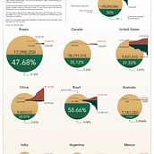 Soy, meat and deforestation. Un progetto di Design dell’informazione, Design interattivo, Infografica, Illustrazione tradizionale e Design di Jesús Rascón - 13.08.2021