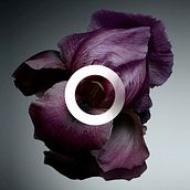 Air Parfum. Art Direction, Br, ing & Identit project by Mateo Parrilla - 08.14.2021