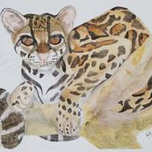 Mi Proyecto del curso: Ilustración científica de animales en acuarela. Traditional illustration, Watercolor Painting, Realistic Drawing, and Naturalistic Illustration project by Rusby G. Contreras-Díaz - 08.14.2021