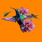 Have Fun . Pattern Design, Fashion Design, and Printing project by ninja_25 - 08.14.2021