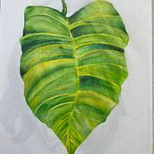 The Leaf. Traditional illustration, and Pencil Drawing project by mapigarzon2204 - 08.14.2021