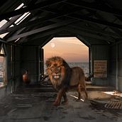 Mi Proyecto del curso: Secretos del fotomontaje y el retoque creativo. Fotografia, Pós-produção fotográfica, VFX, Retoque fotográfico, Fotografia artística, Composição fotográfica, e Fotomontagem projeto de Fernando Jhunior Garnica Carballo - 15.08.2021