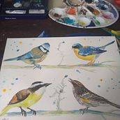 Mi Proyecto del curso: Acuarela artística para ilustración de aves. Un projet de Illustration traditionnelle, Aquarelle, Dessin réaliste et Illustration naturaliste de Alejandra Huerta - 16.08.2021