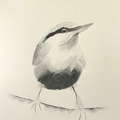 Artistica Watercolour class - birds. Traditional illustration project by josephinetanton - 08.16.2021