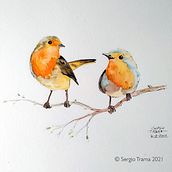 Robins . % Sergio G. M. Trama tarafından hazırlanan Geleneksel illüstras, Ve on projesi - 08.16.2021