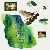 Seafoam: a research. Un projet de Illustration traditionnelle de Luana Scuri - 16.08.2021