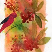 Berry bird. Un proyecto de Ilustración tradicional, Pintura, Dibujo, Pintura a la acuarela, Ilustración con tinta e Ilustración naturalista				 de Karin Kersteter - 17.08.2021