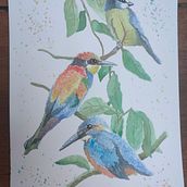 My project in Artistic Watercolor Techniques for Illustrating Birds course. Traditional illustration, Watercolor Painting, Realistic Drawing, and Naturalistic Illustration project by Laura Magnani - 08.17.2021
