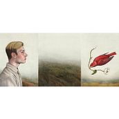 Albor. Un projet de Illustration traditionnelle, Illustration éditoriale, Illustration naturaliste , et Aquarelle de Marcos N Sayas - 17.08.2021