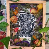 Mi Proyecto del curso: Técnicas básicas de prensado botánico. Un proyecto de Artesanía, Bellas Artes, Collage, DIY, Diseño floral y vegetal de katty cool - 14.06.2021