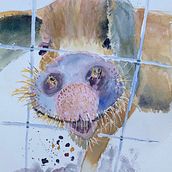 My project in Expressive Animal Portraits in Watercolor course. Traditional illustration, Watercolor Painting, Realistic Drawing, and Naturalistic Illustration project by Yang Xu - 08.17.2021