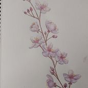 Mi Proyecto del curso: Cuaderno botánico en acuarela. Traditional illustration, Watercolor Painting, Botanical Illustration, and Sketchbook project by Zayed Zabala Vallejo - 08.12.2021