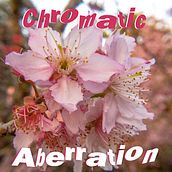 Chromatic Aberration.. Photograph, Digital Photograph, and Photographic Composition project by Vinicius Pacheco - 01.16.2021