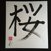 Sakura (Flor del Cerezo). Calligraph project by Jose Bermejo - 08.18.2021
