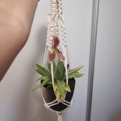 Suporte para vasos. Un progetto di Design di accessori, Artigianato, Interior Design, Fiber Art e Macramè di Sílvia Pereira - 19.08.2021