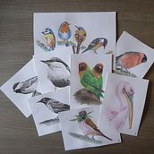 My project in Artistic Watercolor Techniques for Illustrating Birds course. Traditional illustration, Watercolor Painting, Realistic Drawing, and Naturalistic Illustration project by an_baeyens - 08.20.2021
