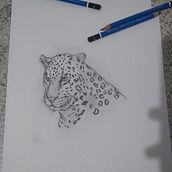 Animal Drawings Xamã. Un proyecto de Ilustración tradicional de Jessica Batista - 19.08.2021