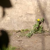 Proyecto para Curso: Introducción a la fotografía narrativa Ein Projekt aus dem Bereich Fotografie, Stor, telling, Artistische Fotografie, Erzählung und Interieurfotografie von Matías López Czeczujka - 20.08.2021