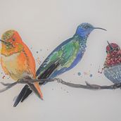 My project in Artistic Watercolor Techniques for Illustrating Birds course. Traditional illustration, Watercolor Painting, Realistic Drawing, and Naturalistic Illustration project by Sharon Guy - 08.20.2021