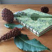 Cuaderno botánico I  . % Alba Berenguer tarafından hazırlanan Geleneksel illüstras, on, Sulubo, a Resim, Botanik İllüstras, on, Ve Eskiz defteri projesi - 08.20.2021