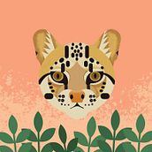 Mi Proyecto del curso: Ilustración vectorial: personalidad y color. Fauna del Bosque de Niebla, Colombia. . Traditional illustration, Graphic Design, Vector Illustration, and Digital Illustration project by Stefanny Santa Bejarano - 08.11.2021