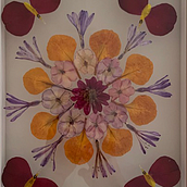 Mi Proyecto del curso: Técnicas básicas de prensado botánico. Un projet de Artisanat, Collage, DIY, Art floral et végétal , et Beaux Arts de Estrella Ossorio Moreno - 18.08.2021