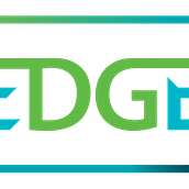 EDGE 2021. Animation, and Motion Graphics project by Diego Galarza Marmissolle - 04.03.2021