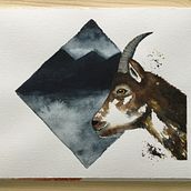 Mein Kursprojekt: Ausdrucksstarke Tierporträts in Aquarell. Traditional illustration, Watercolor Painting, Realistic Drawing, and Naturalistic Illustration project by Barbara - 08.21.2021