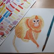 Meu projeto do curso: Técnicas experimentais de aquarela para principiantes . Traditional illustration, Fine Arts, Watercolor Painting, and Naturalistic Illustration project by marcelaburatto - 08.05.2021