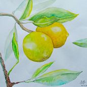 Botanical watercolor. Traditional illustration project by Eugenia Izotova - 08.22.2021