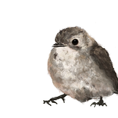 Mi Proyecto del curso: Procreate: técnicas de ilustración creativa. Un progetto di Illustrazione tradizionale, Illustrazione digitale e Disegno digitale di Clara Correa - 23.08.2021