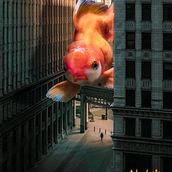 Mi Proyecto del curso: Fotomontaje en Photoshop: crea mundos futuristas. Un proyecto de Post-producción fotográfica		, Retoque fotográfico, Fotografía digital, Composición fotográfica y Fotomontaje de David vinueza - 04.05.2021